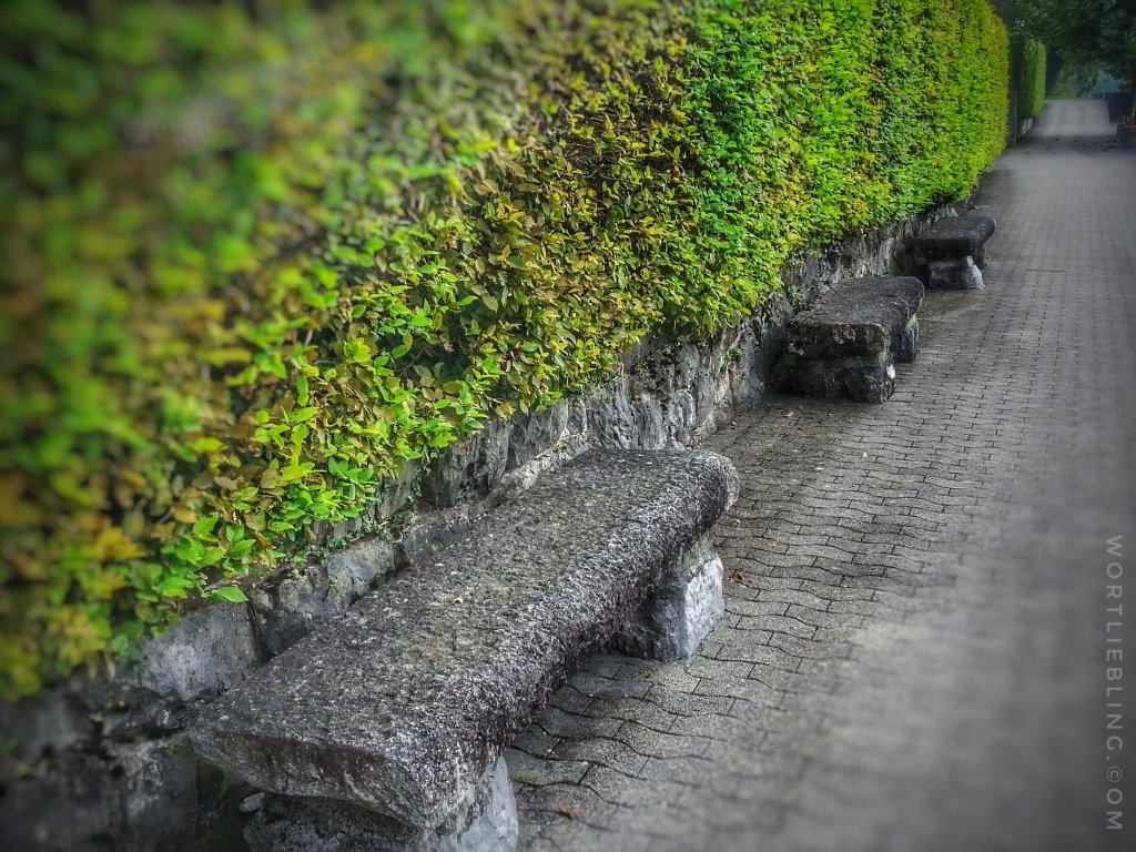 Leider machen Leute&nbsp;…