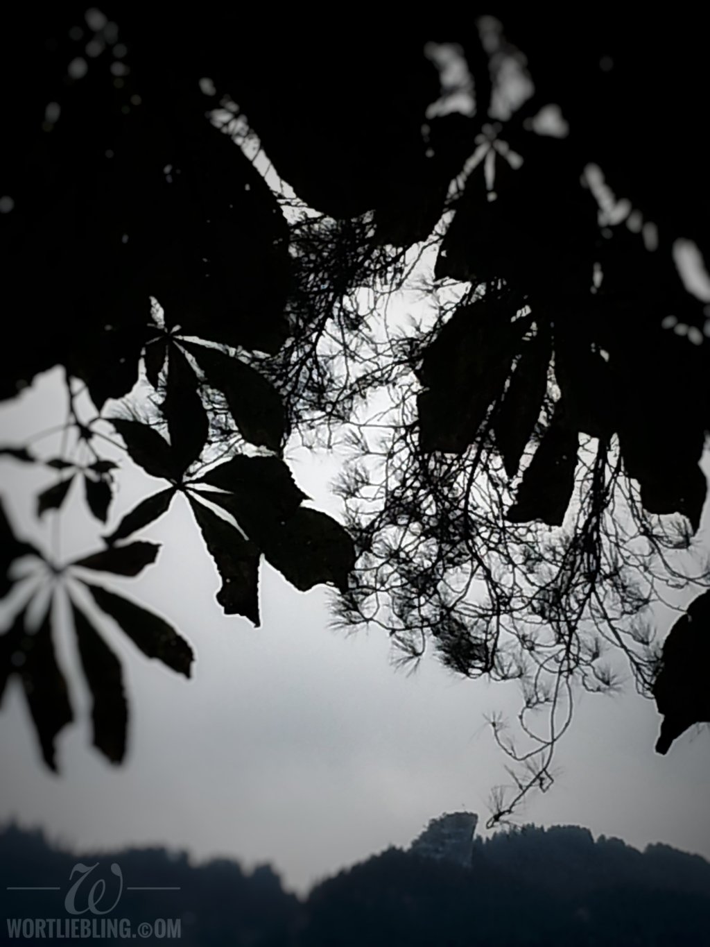 eben von & ver wegen ¶