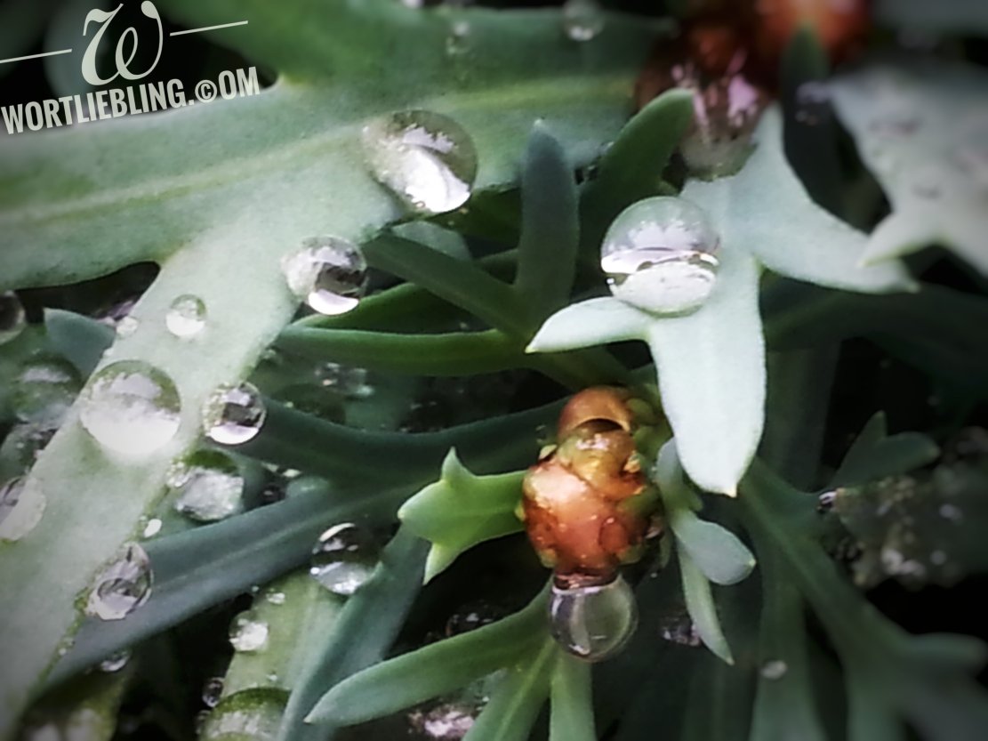 Unter vier Augen,&nbsp;dazwischen.