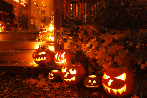 „Fanal“ 🎃 Ein Read-Trip.