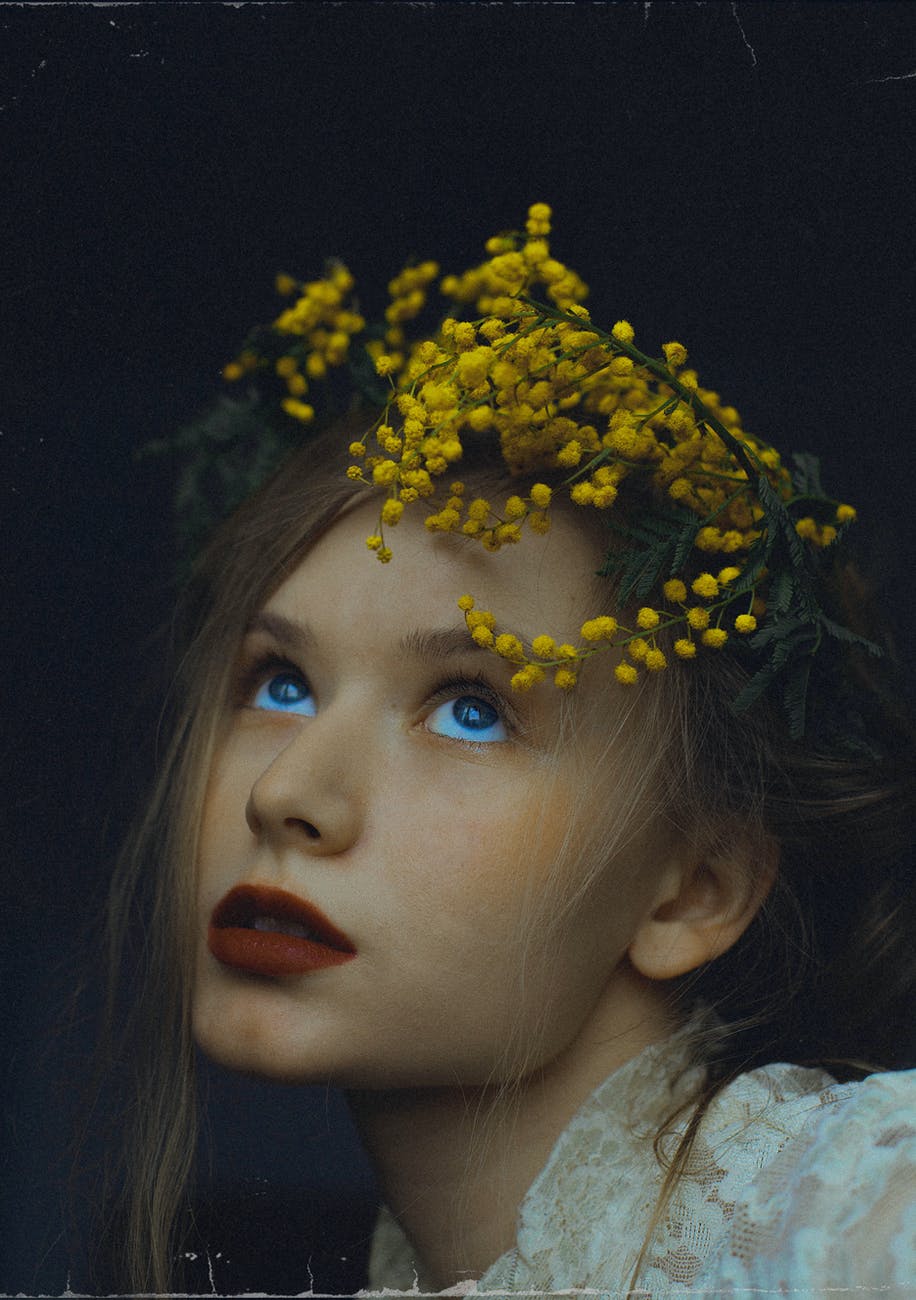 Meine Muse, eine Mimose.