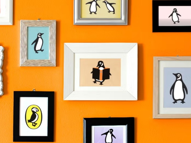 Pinguin mit Eselsohren